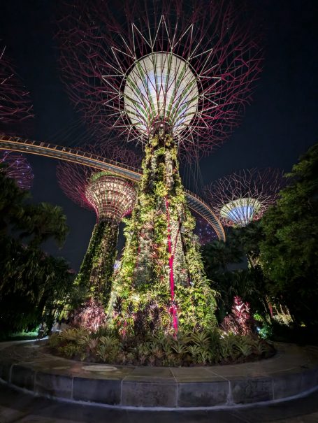 Illuminated Supertrees at Gardens by the Bay with vibrant lights at night.