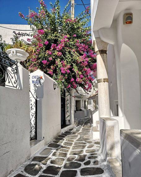 Narrow cobblestone alleyway lined with whitewashed buildings and vibrant pink flowers.